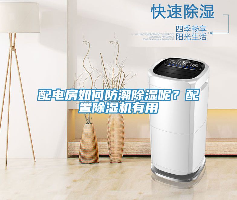 配電房如何防潮除濕呢？配置香蕉视频国产有用