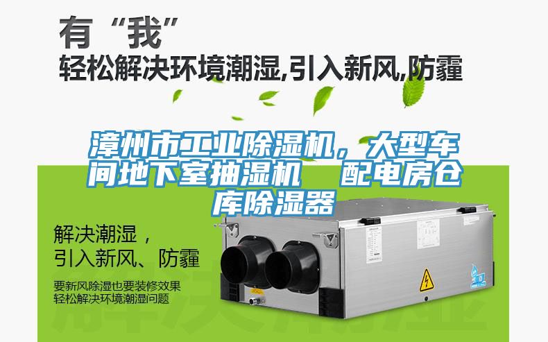 漳州市工業香蕉视频国产，大型車間地下室抽濕機  配電房倉庫除濕器