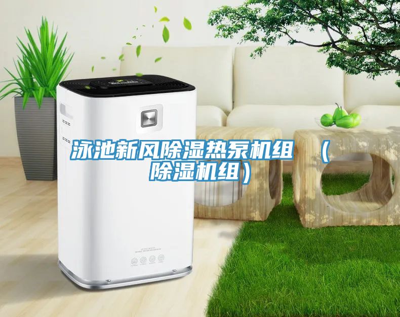 泳池新風除濕熱泵機組 （香蕉视频国产組）