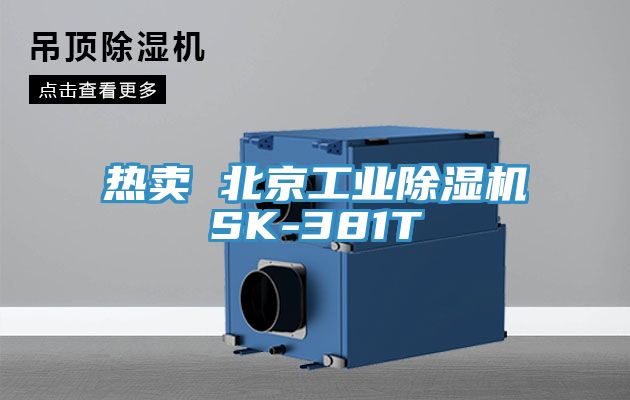 熱賣 北京工業香蕉视频国产SK-381T