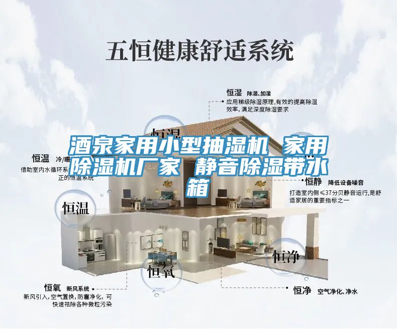 酒泉家用小型抽濕機 家用香蕉视频国产廠家 靜音除濕帶水箱