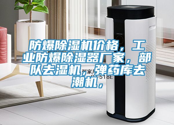 防爆香蕉视频国产價格，工業防爆除濕器廠家，部隊去濕機，彈藥庫去潮機，