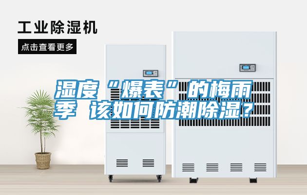 濕度“爆表”的梅雨季 該如何防潮除濕？