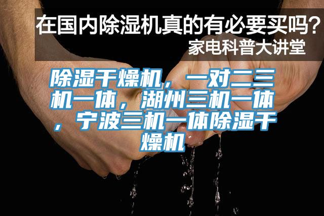 除濕幹燥機，一對二三機一體，湖州三機一體，寧波三機一體除濕幹燥機