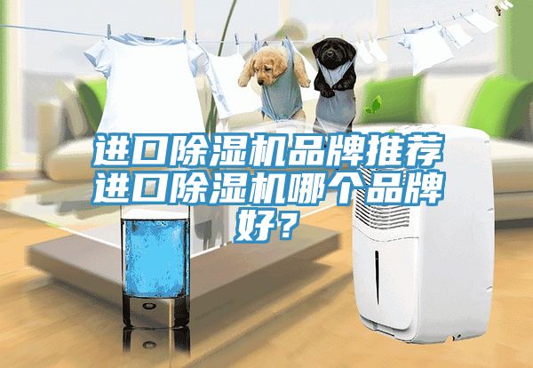 進口香蕉视频国产品牌推薦進口香蕉视频国产哪個品牌好？