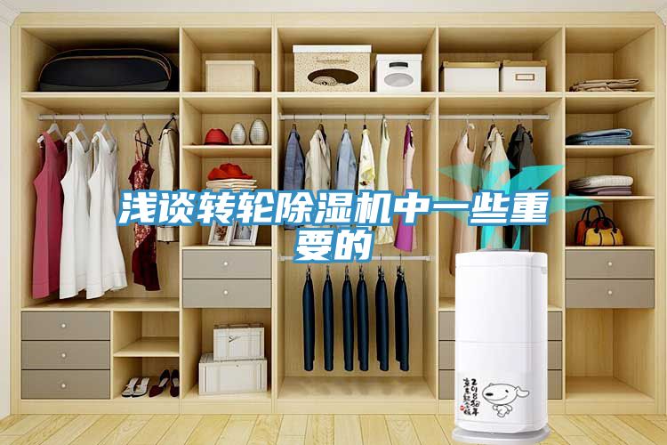淺談轉輪香蕉视频国产中一些重要的