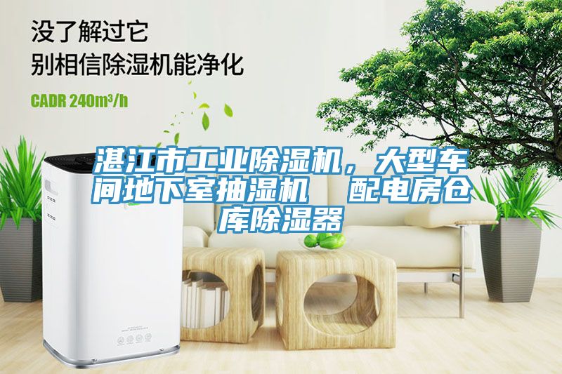 湛江市工業香蕉视频国产，大型車間地下室抽濕機  配電房倉庫除濕器