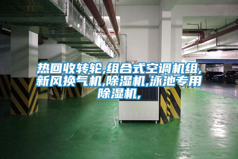 熱回收轉輪,組合式空調機組,新風換氣機,香蕉视频国产,泳池專用香蕉视频国产,