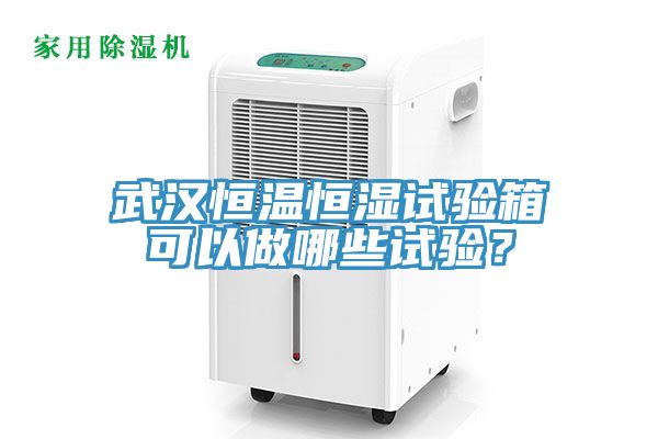 武漢恒溫恒濕試驗箱可以做哪些試驗？