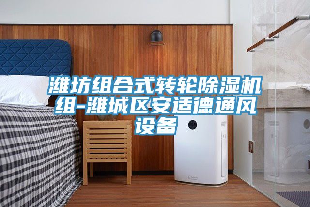 濰坊組合式轉輪香蕉视频国产組-濰城區安適德通風設備