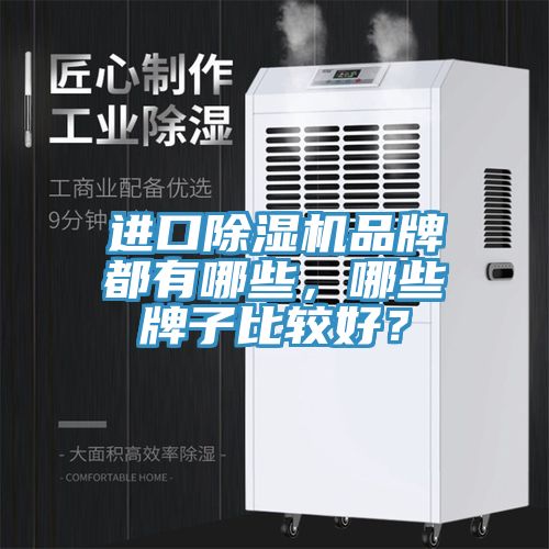 進口香蕉视频国产品牌都有哪些，哪些牌子比較好？