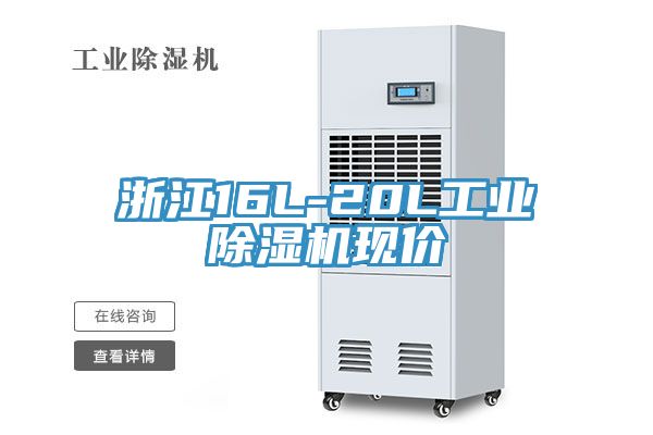 浙江16L-20L工業香蕉视频国产現價