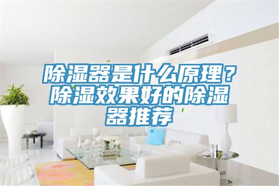 除濕器是什麽原理？除濕效果好的除濕器推薦