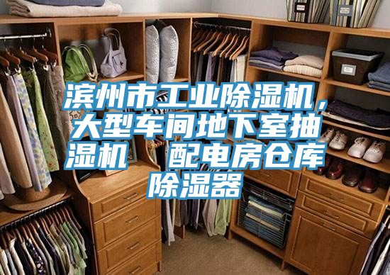 濱州市工業香蕉视频国产，大型車間地下室抽濕機  配電房倉庫除濕器