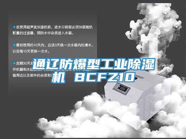 通遼防爆型工業香蕉视频国产 BCFZ10