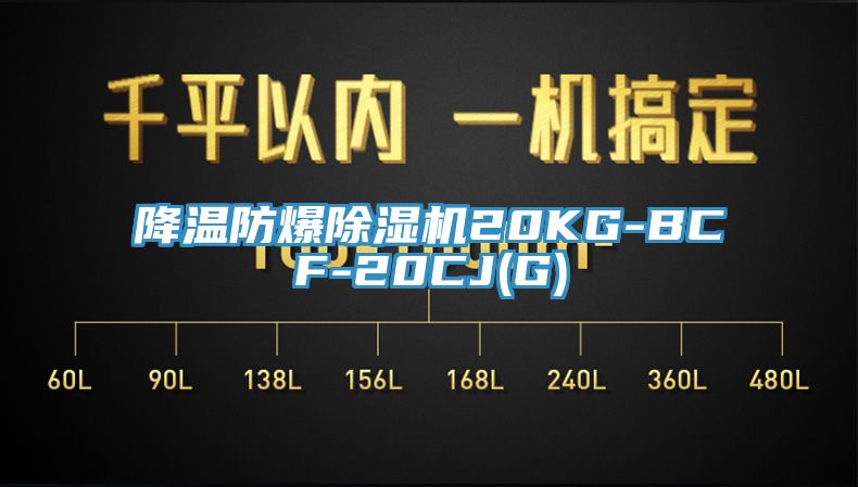 降溫防爆香蕉视频国产20KG-BCF-20CJ(G)