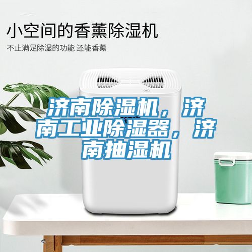濟南香蕉视频国产，濟南工業除濕器，濟南抽濕機