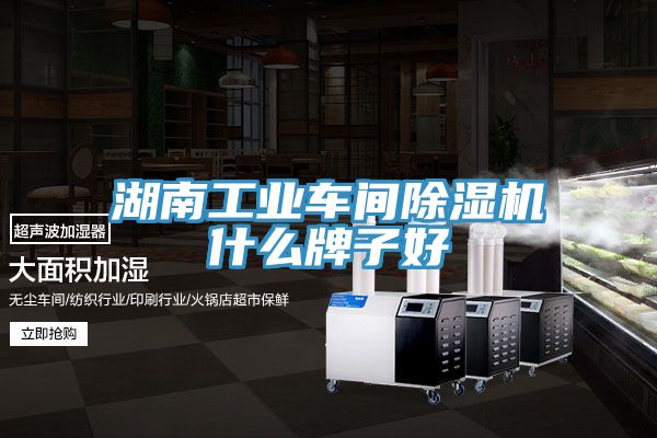 湖南工業車間香蕉视频国产什麽牌子好