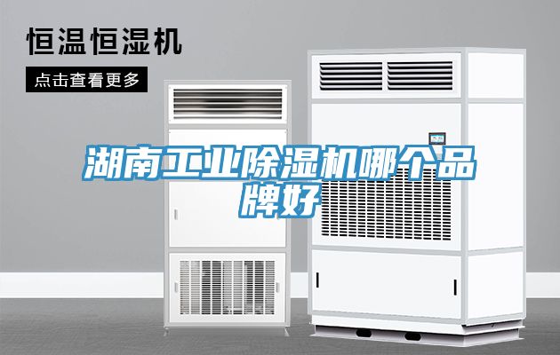 湖南工業香蕉视频国产哪個品牌好