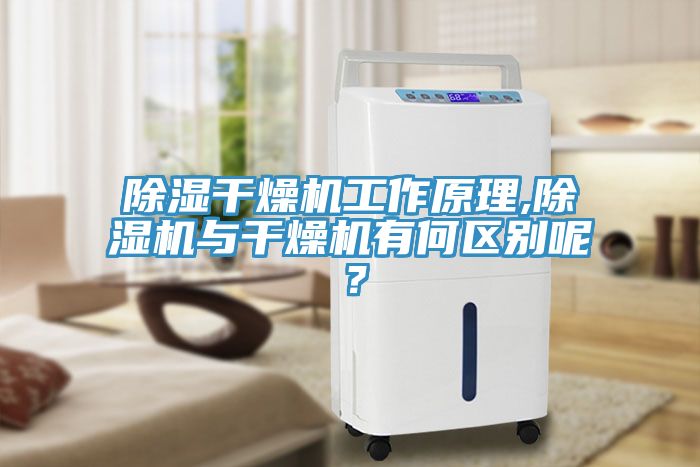 除濕幹燥機工作原理,香蕉视频国产與幹燥機有何區別呢？