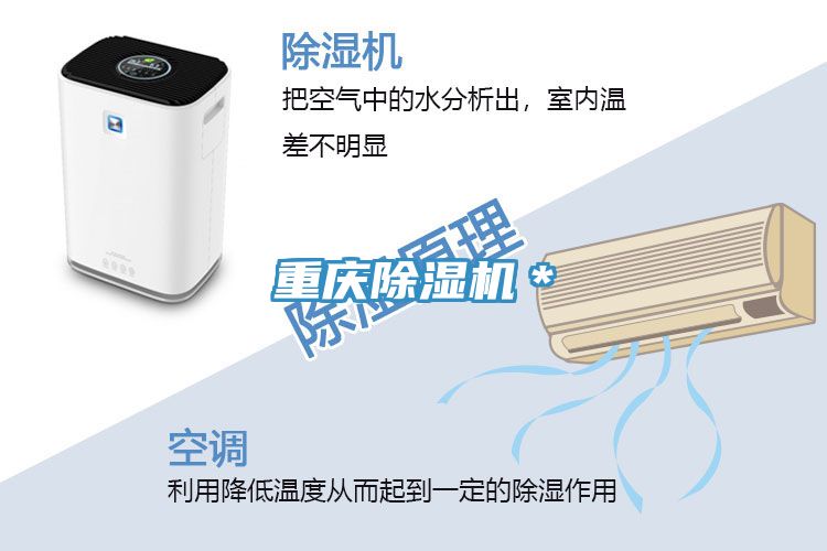 重慶香蕉视频国产＊