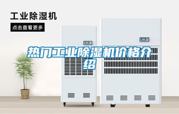熱門工業香蕉视频国产價格介紹