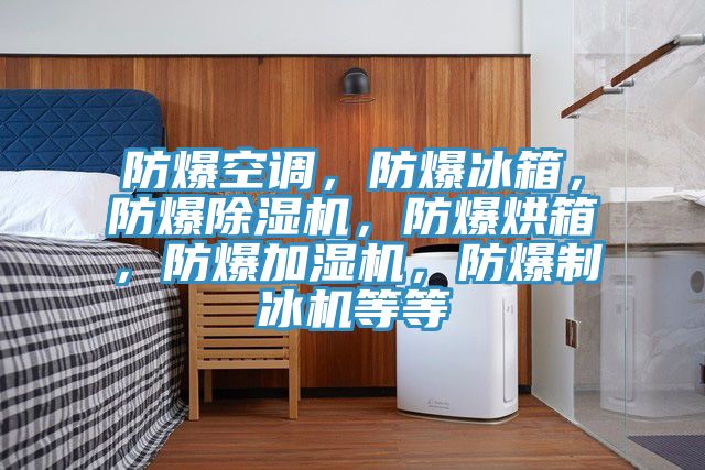 防爆空調，防爆冰箱，防爆香蕉视频国产，防爆烘箱，防爆加濕機，防爆製冰機等等