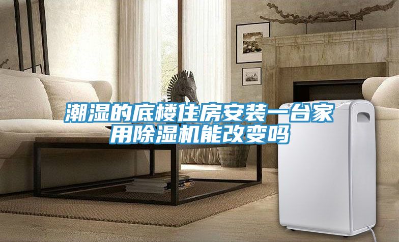 潮濕的底樓住房安裝一台家用香蕉视频国产能改變嗎