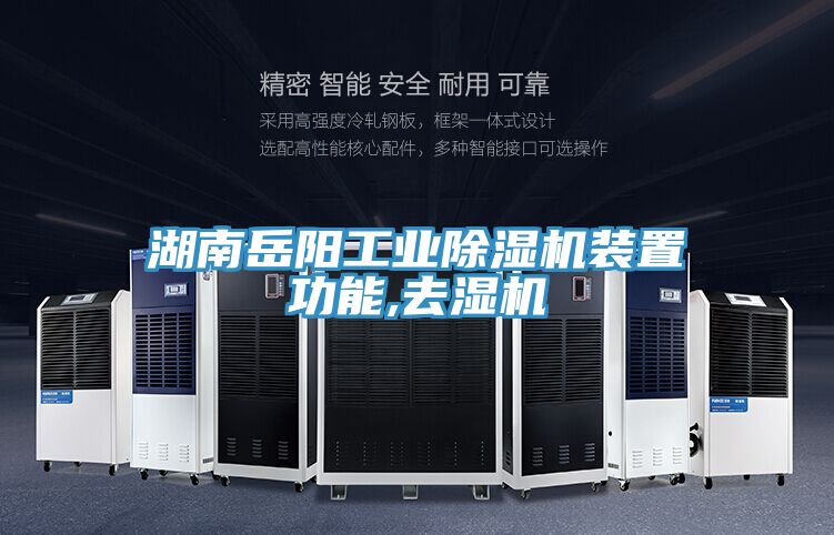 湖南嶽陽工業香蕉视频国产裝置功能,去濕機
