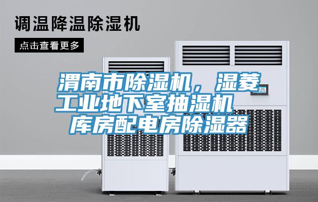 渭南市香蕉视频国产，濕菱工業地下室抽濕機  庫房配電房除濕器