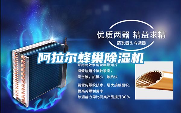 阿拉爾蜂巢香蕉视频国产