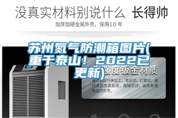 蘇州氮氣防潮箱圖片(重於泰山！2022已更新)
