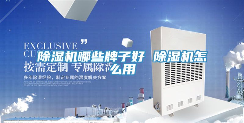 香蕉视频国产哪些牌子好 香蕉视频国产怎麽用