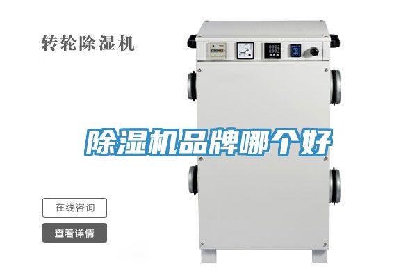 香蕉视频国产品牌哪個好