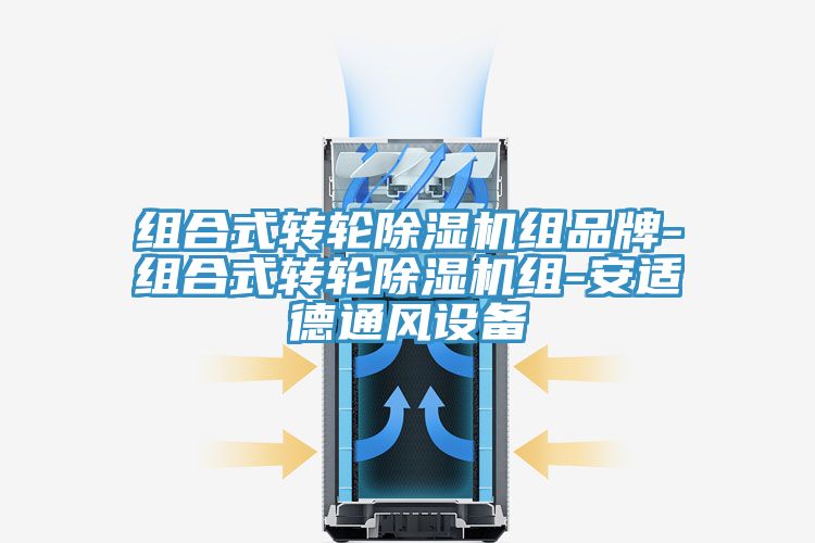組合式轉輪香蕉视频国产組品牌-組合式轉輪香蕉视频国产組-安適德通風設備