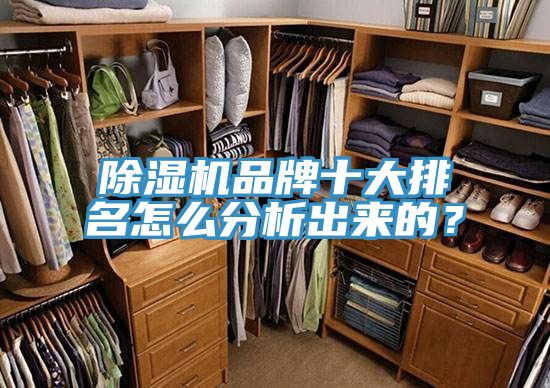 香蕉视频国产品牌十大排名怎麽分析出來的？