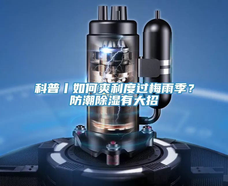 科普丨如何爽利度過梅雨季？防潮除濕有大招