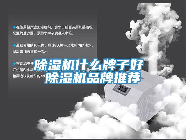 香蕉视频国产什麽牌子好 香蕉视频国产品牌推薦