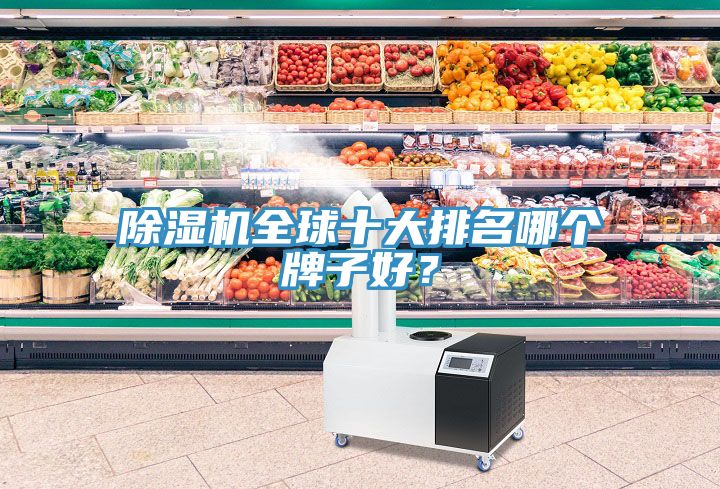 香蕉视频国产全球十大排名哪個牌子好？