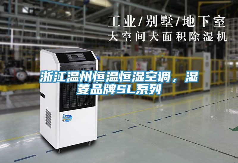 浙江溫州恒溫恒濕空調，濕菱品牌SL係列
