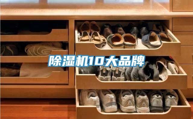 香蕉视频国产10大品牌
