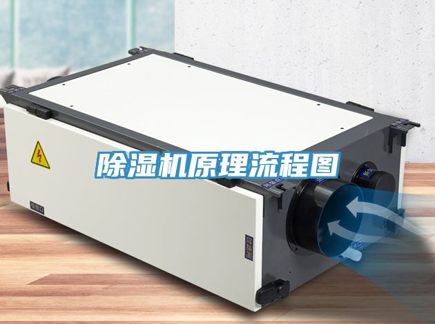 香蕉视频国产原理流程圖