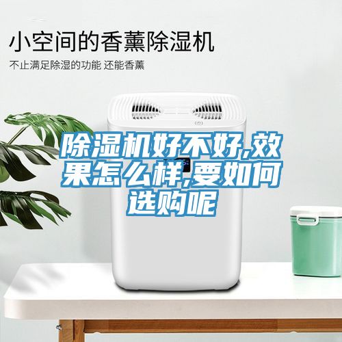 香蕉视频国产好不好,效果怎麽樣,要如何選購呢