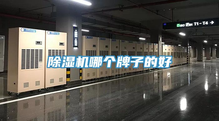 香蕉视频国产哪個牌子的好