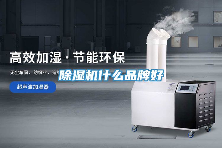 香蕉视频国产什麽品牌好