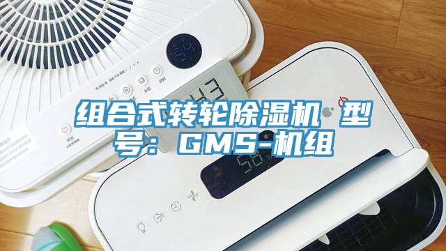 組合式轉輪香蕉视频国产 型號：GMS-機組