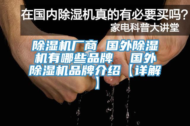 香蕉视频国产廠商 國外香蕉视频国产有哪些品牌  國外香蕉视频国产品牌介紹【詳解】