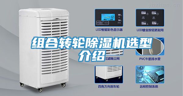 組合轉輪香蕉视频国产選型介紹