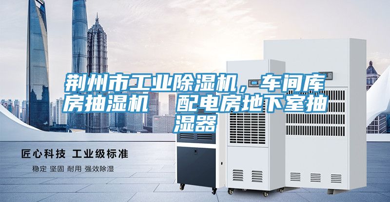 荊州市工業香蕉视频国产，車間庫房抽濕機  配電房地下室抽濕器