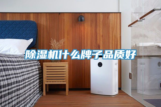 香蕉视频国产什麽牌子品質好